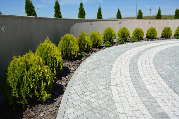 Best Driveway Paving Near Me  in Puget Island, WA